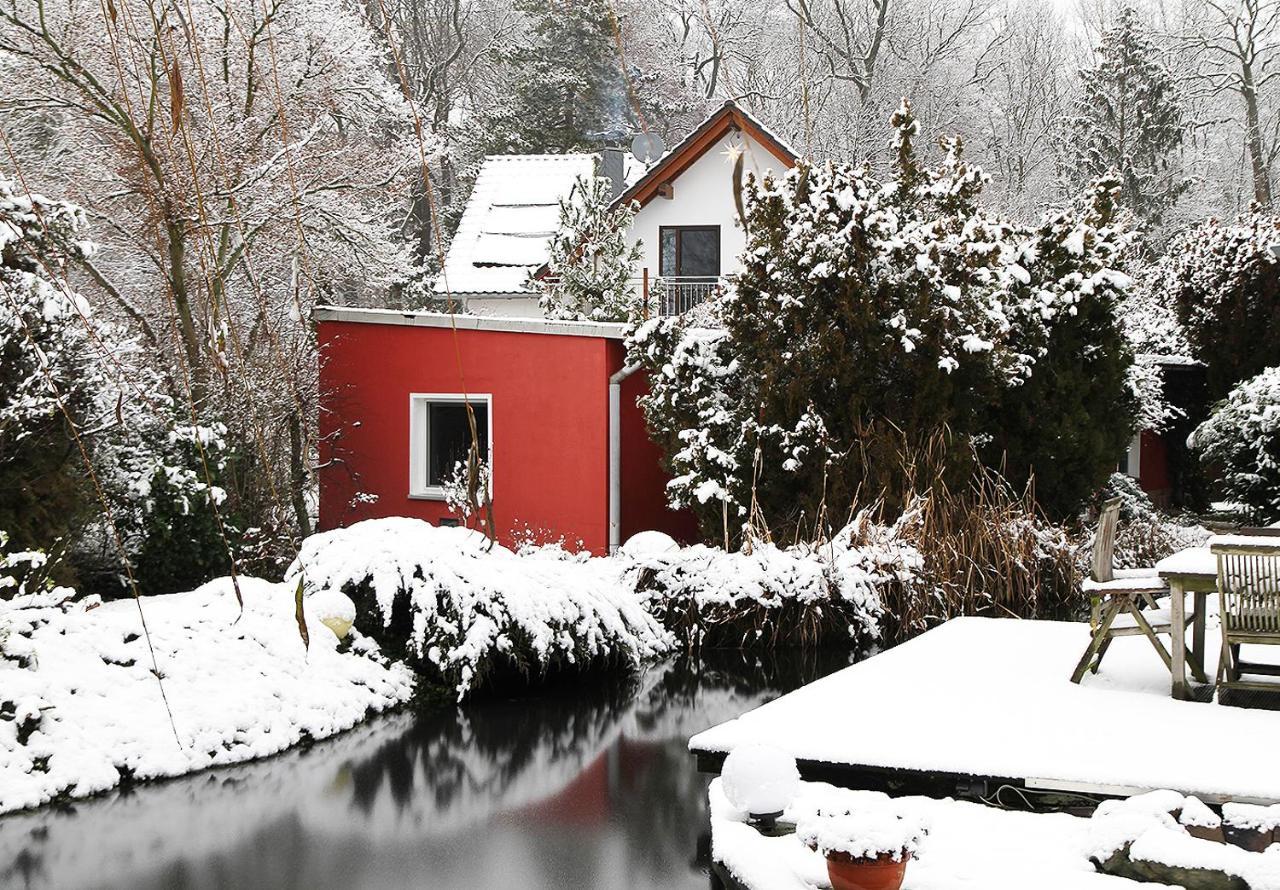 Haus Mit Kunst Zwischen Wald Und See Leipzig Exterior foto